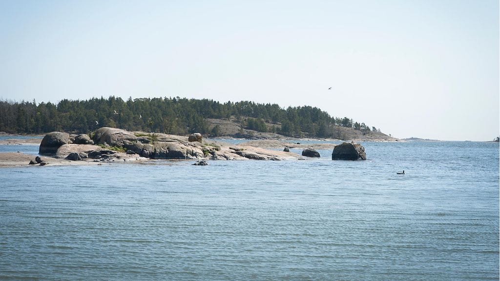 Kuvituskuvaa.