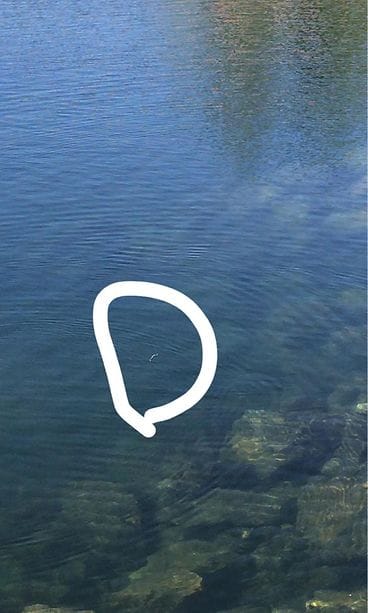 Kuvassa kyyksi arvioitu käärme uiskentelee vedessä Otavalan louhoksella Mikkelissä. Se ei ole virallinen uimaranta, mutta siellä käy kesäisin ihmisiä uimassa ja hyppimässä veteen. (Kuva: Verneri Kokkonen.)