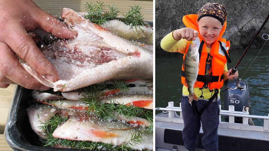 Suomen vapaa-ajankalastajien keskusjärjestö kalastus ahven