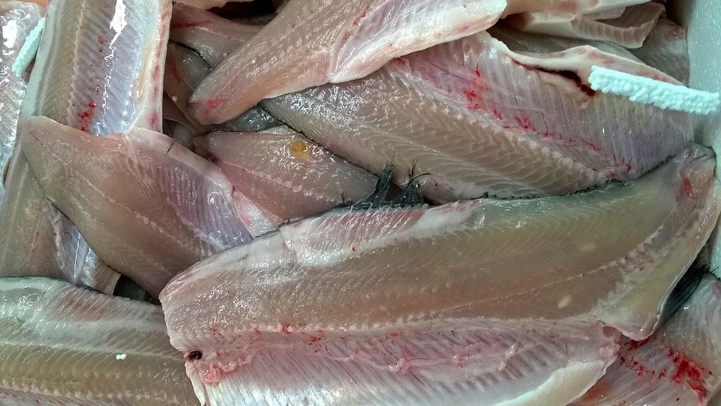 5c83a3f4-7e32-4fc8-a505-ff8a8ae4aebc