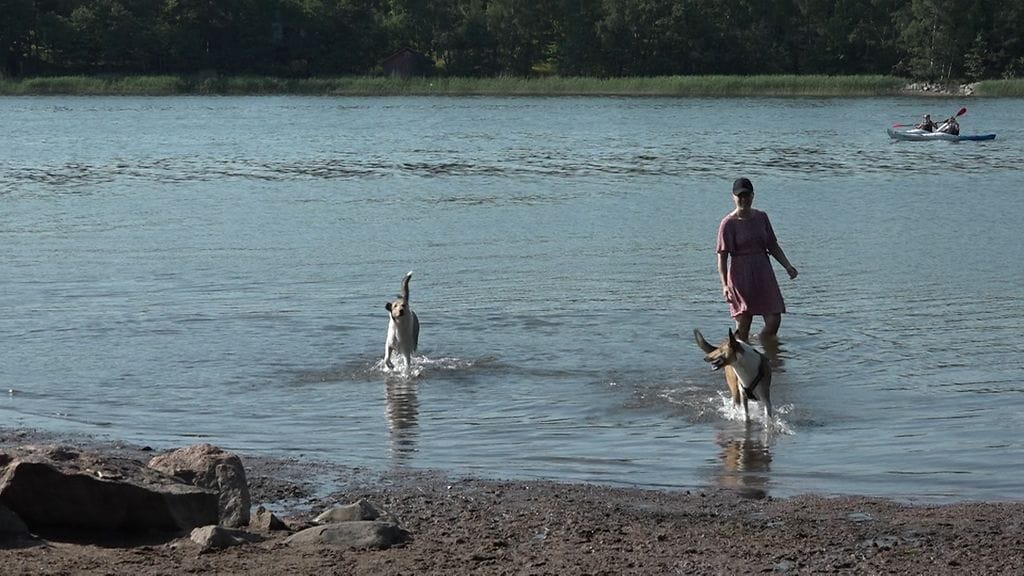 Tv-juttu_koirat_helle3