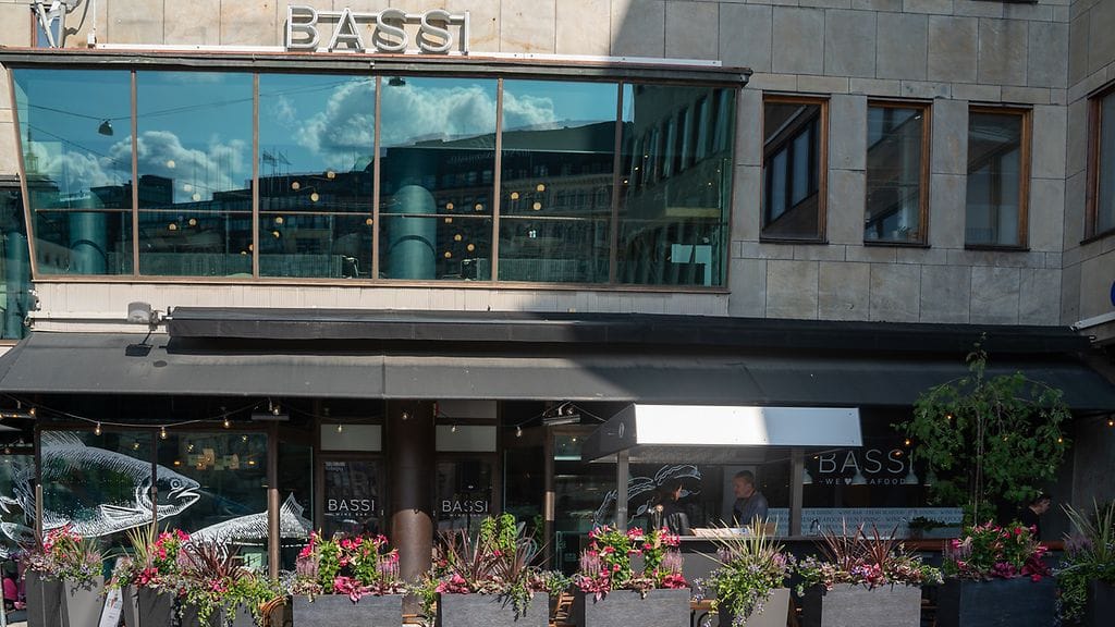 Bassi ulkoa 2
