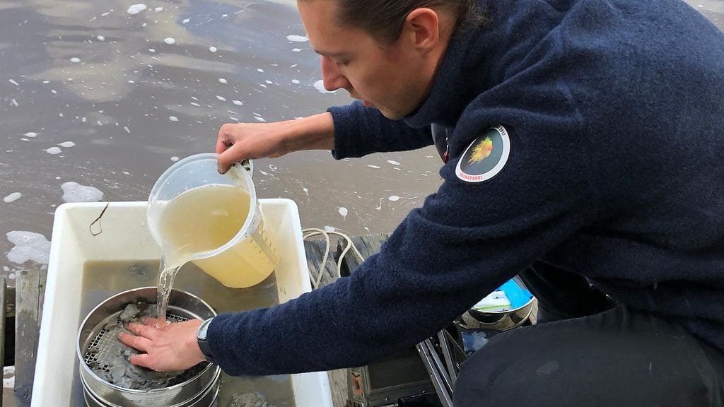 Mikromuovi, näytteenotto, näyte