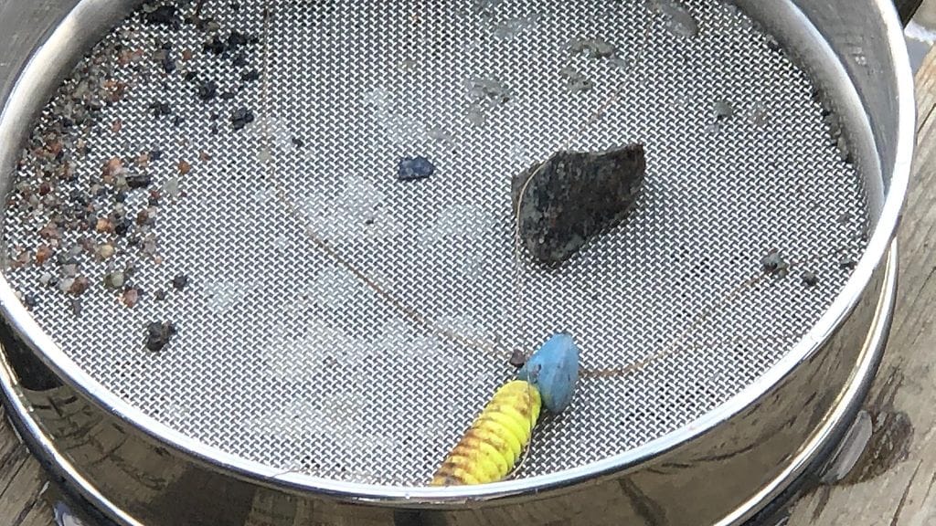 Mikromuovi, näyte, muovia