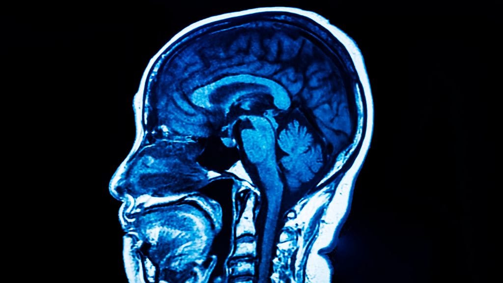 shutterstock_1231957399