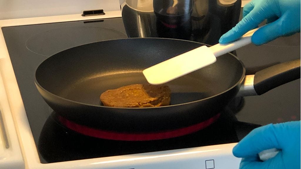 Solar Foods, ruokaa ilmasta, tuotekehittely