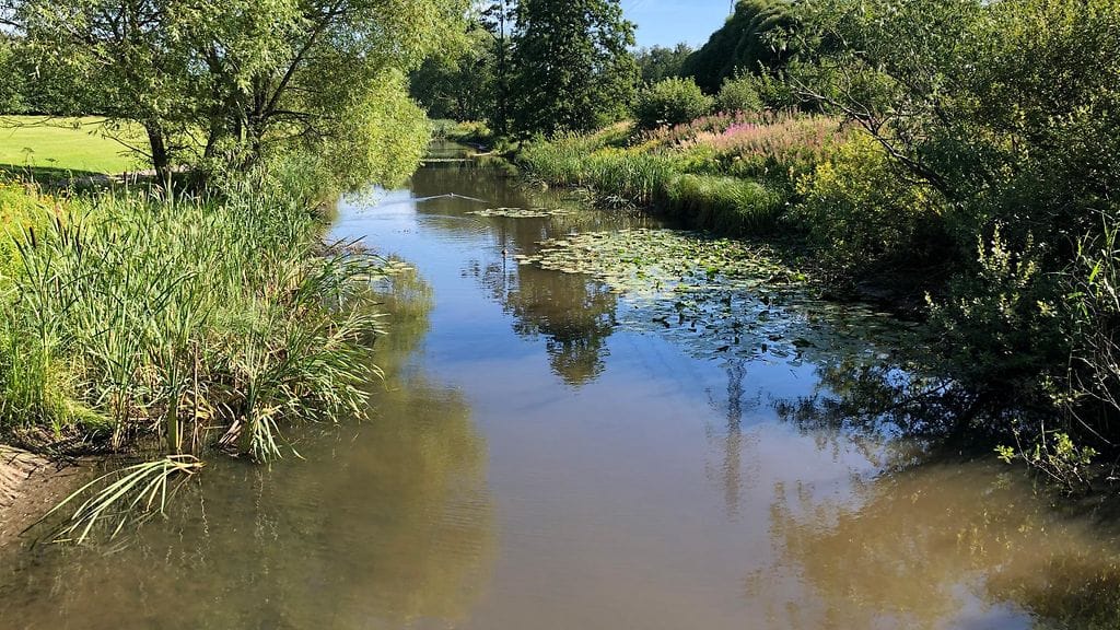 Mätäjoki, Kannelmäki, lohijoki