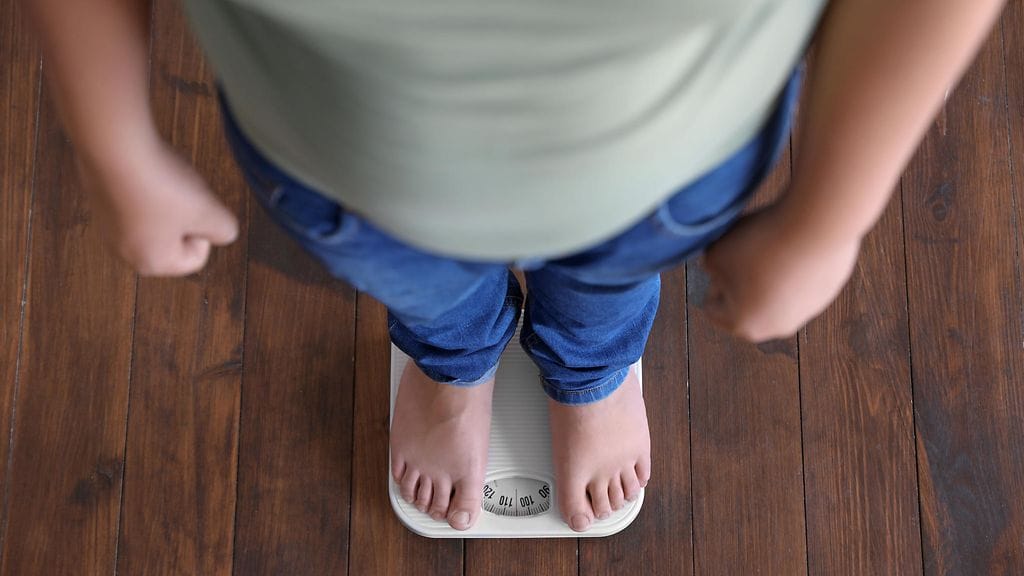 shutterstock_1517221778