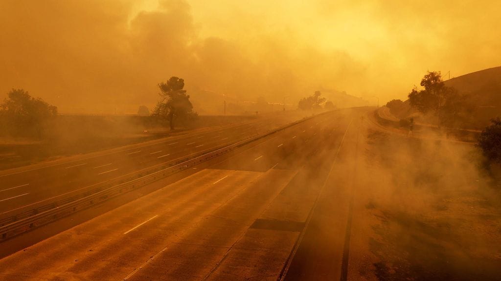 kalifornia palo lk 2