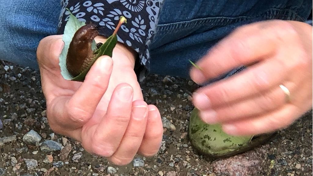 Tappajaetana kädessä