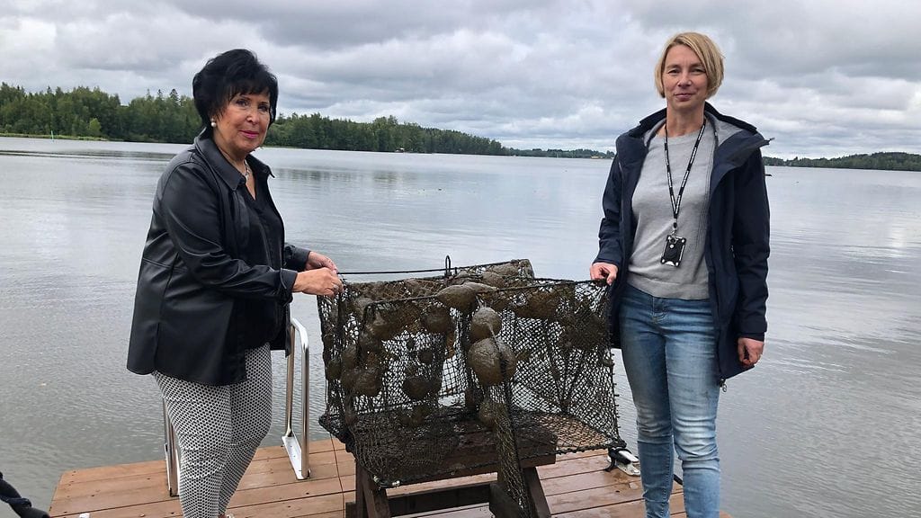 Hyytelösammaleläin, Päivi Söderström ja Anne Mäkynen