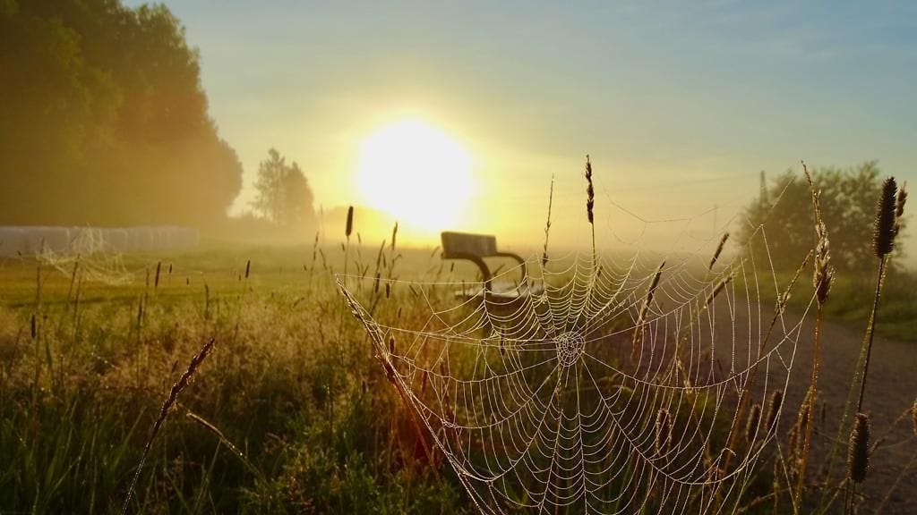 WhatsApp Image 2020-09-21 at 13.57.02