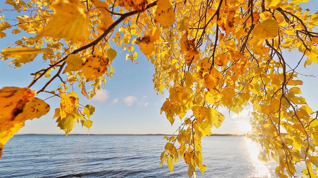 Etelään on luvassa poikkeuksellisen lämmin viikonloppu, sanoo Pekka Pouta.