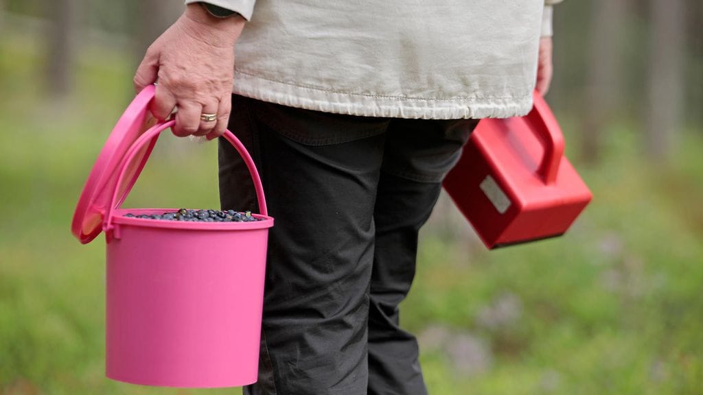 Poliisin mukaan valvonta sujui hyvässä yhteishengessä.