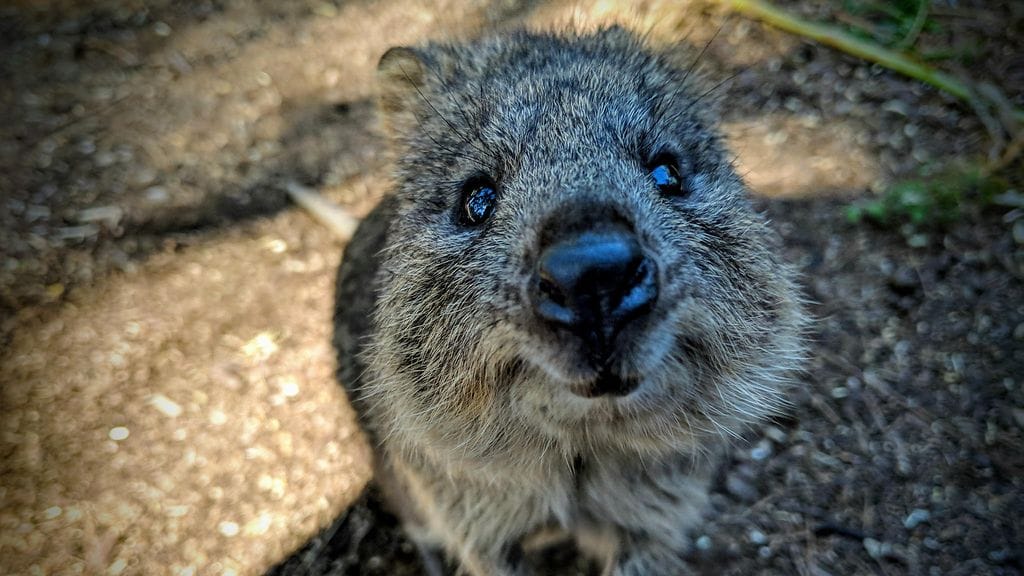 shutterstock_1382219510