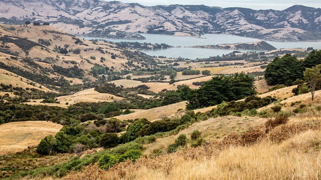 Uuden-Seelannin rajat on avattu kokonaan pitkän koronasulun jälkeen. Kansainvälisten matkailun palautumisen arvioidaan vievän aikaa.