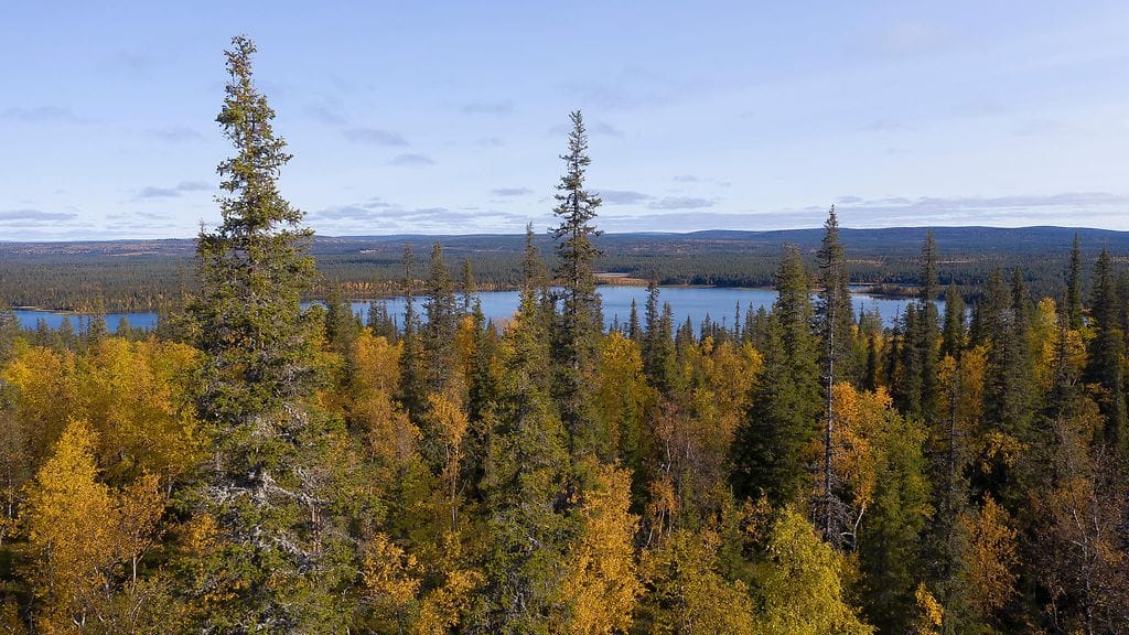 Kuollut henkilö löytyi Taivaskeron reitin varrelta. Kuvituskuva.