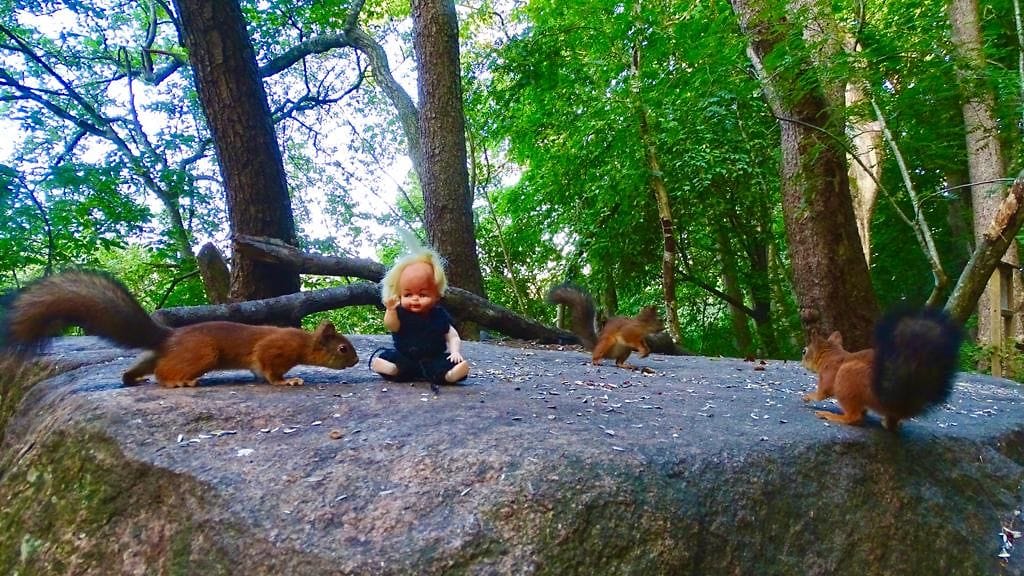 30d881c9-bd1e-4e99-99b1-0e865e3c9b07