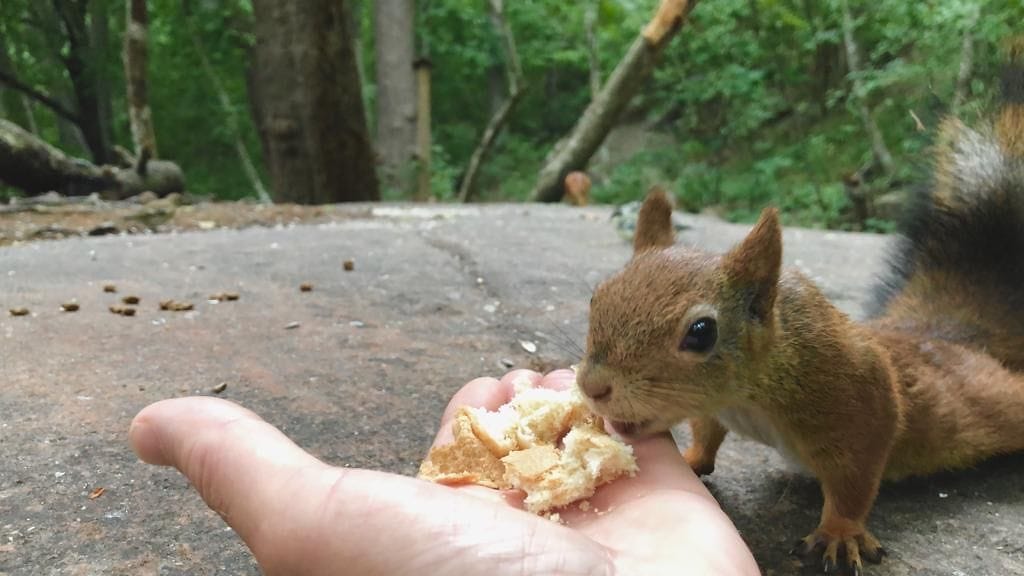 08a4978b-25b8-4c78-88b7-8976275f5e4c