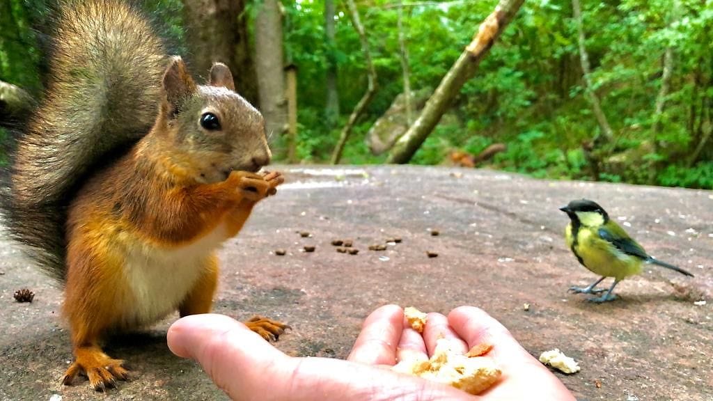 0ca780c6-eaf8-433a-808f-8ed77897dc87