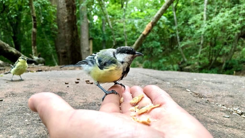 ebe5d8f7-0a36-4bfe-97f3-c8c2ae8d1cf8