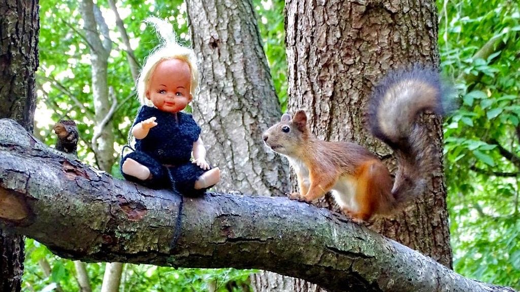 33f2c14e-f5c7-4ca0-abd5-43b870e6e3bd