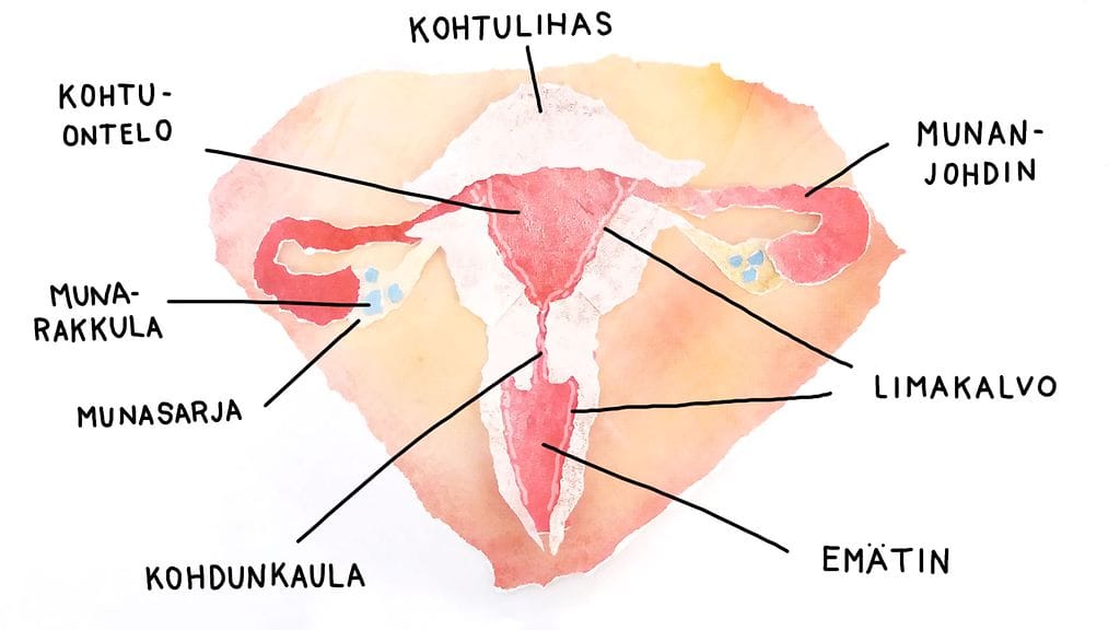 sisäiset teksteillä