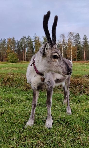 WhatsApp Image 2020-10-07 at 19.41.25