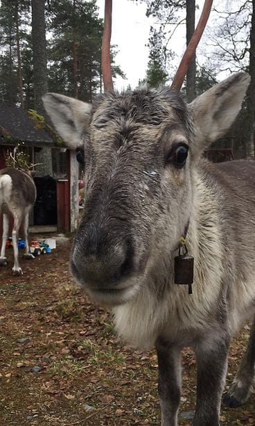 WhatsApp Image 2020-10-13 at 16.43.12 (1)