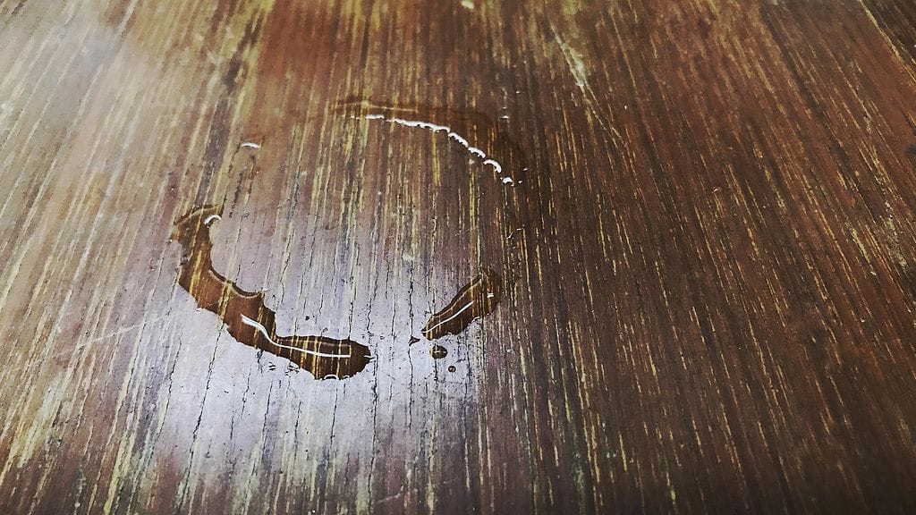 shutterstock_1810889797