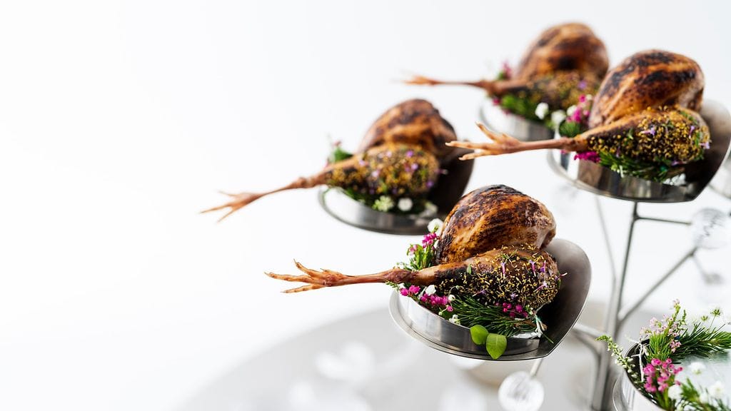 Vatiannos2 - Viiriäinen