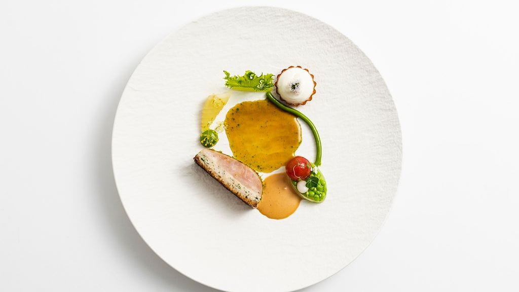 Lautasannos2 - Monni