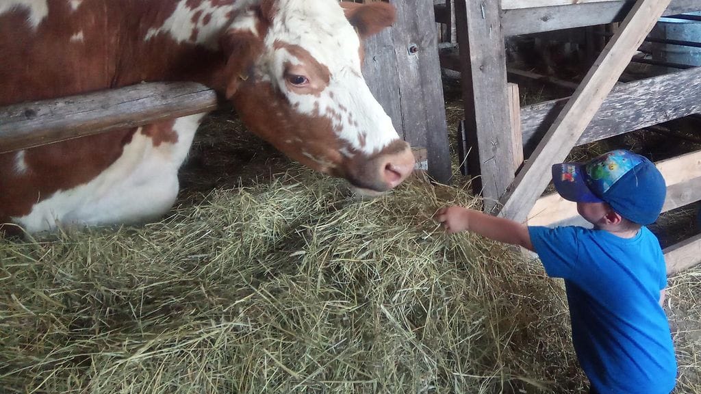 KUVA VAIN LIFESTYLEN ARTIKKELIIN MG_20200625_144959_2~2