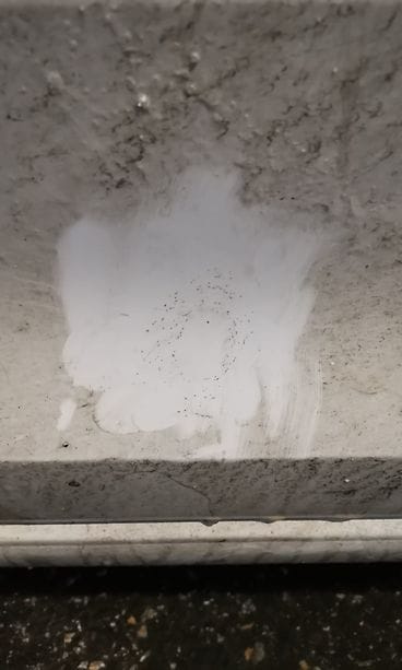 Kananmunat lentelivät Kuopiossa