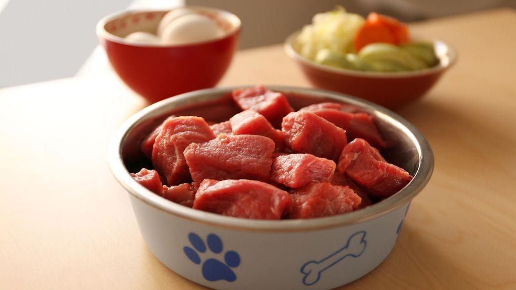 shutterstock_536666848