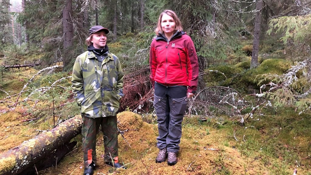 Evo, kansallispuistoaktiivit