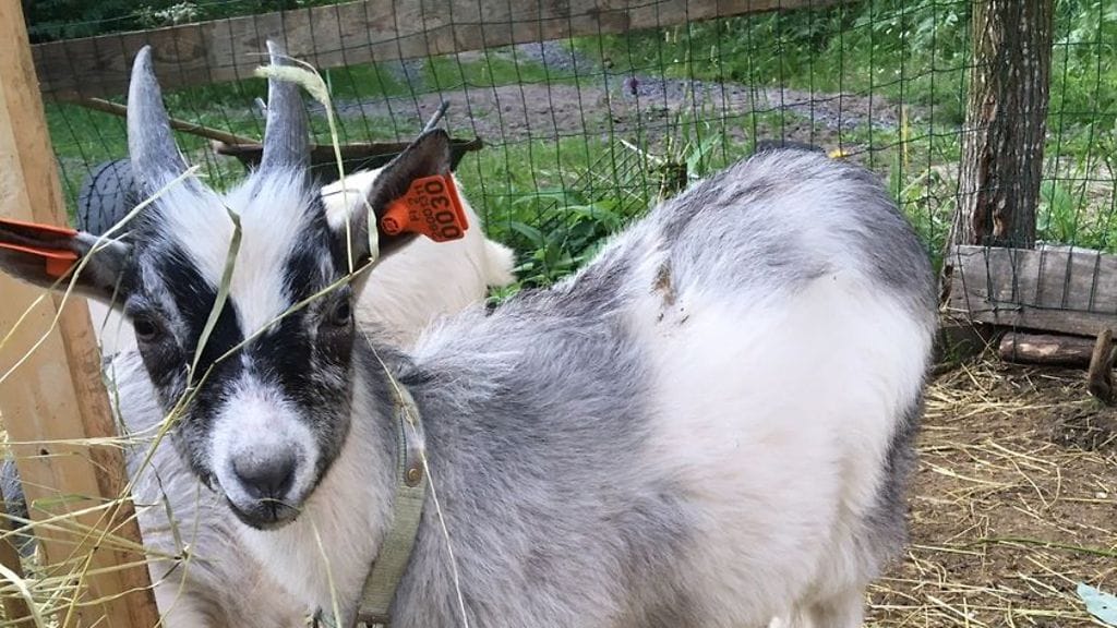 82948216_3301191976580172_1535801596303518528_o