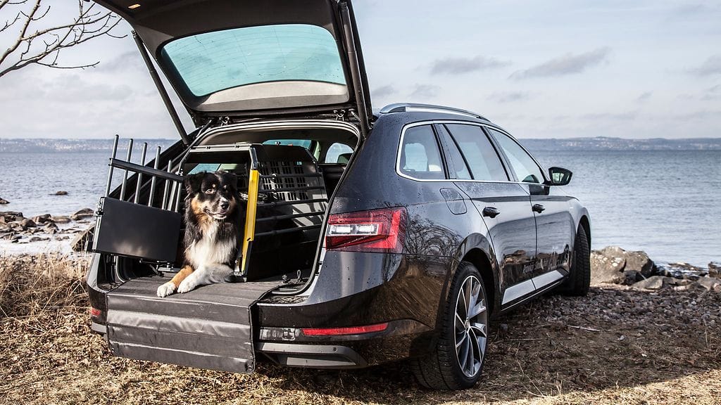 kulkukoira oy koirahäkki