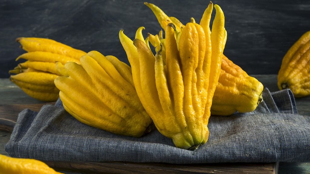 shutterstock_711557119