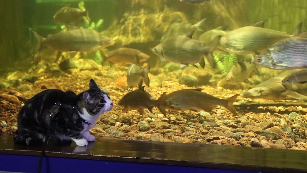 KUVA VAIN LIDFESTYLEEN Kuvaaja Sari Saukkonen