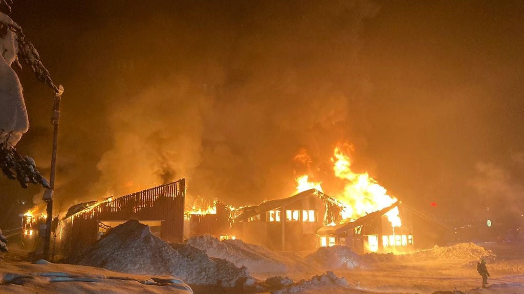 OMA Levin hallipalo 2021-01-03 at 23.50.57