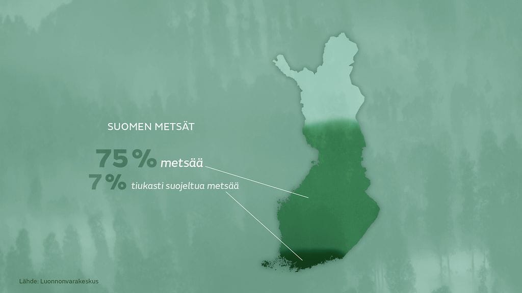 Grafiikka: Metsät