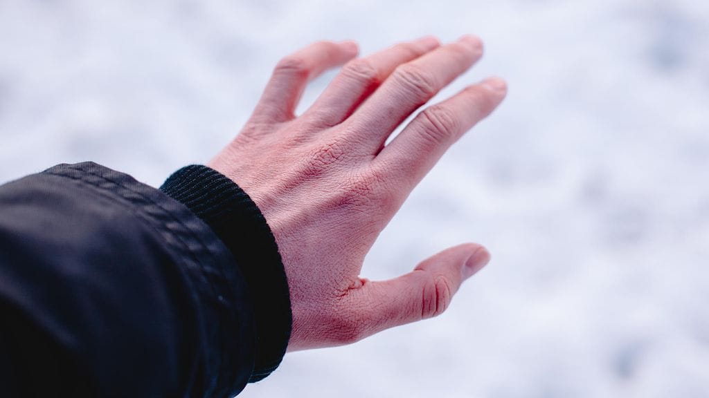 shutterstock_1542237602