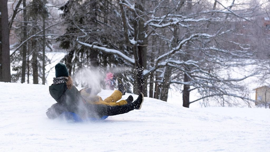 Pulkkamäki pulkkailija