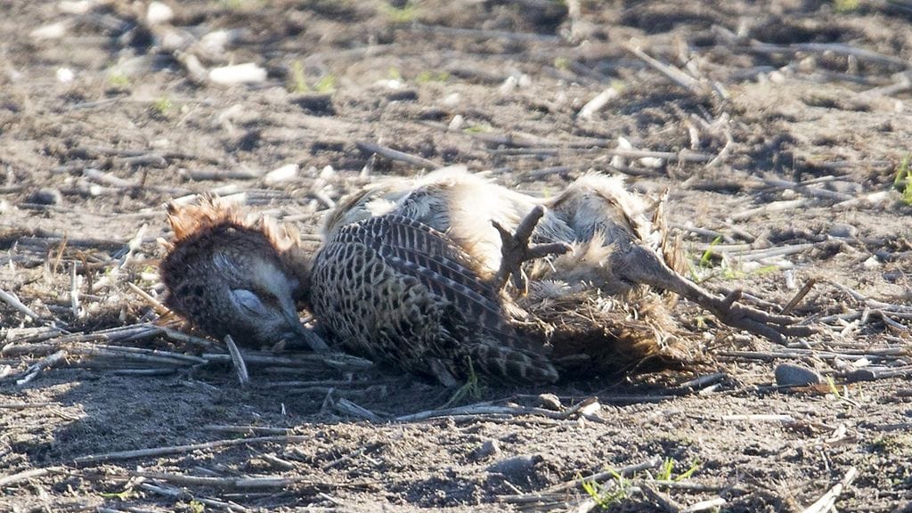 Ruokaviraston arvion mukaan vyöhykkeelle ei enää ole tarvetta.