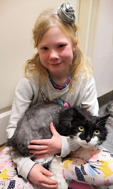 kosti kissa ja lapsi