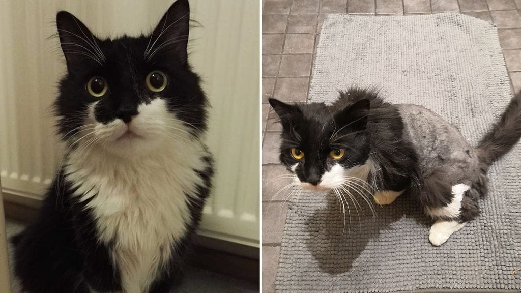 kosti ennen ja jälkeen