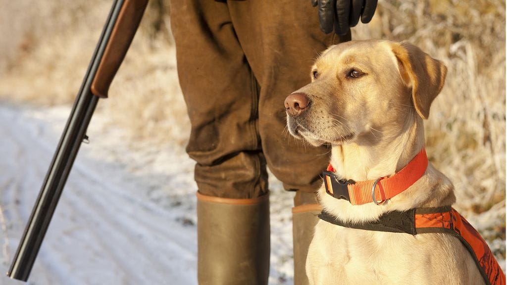 shutterstock_126790043