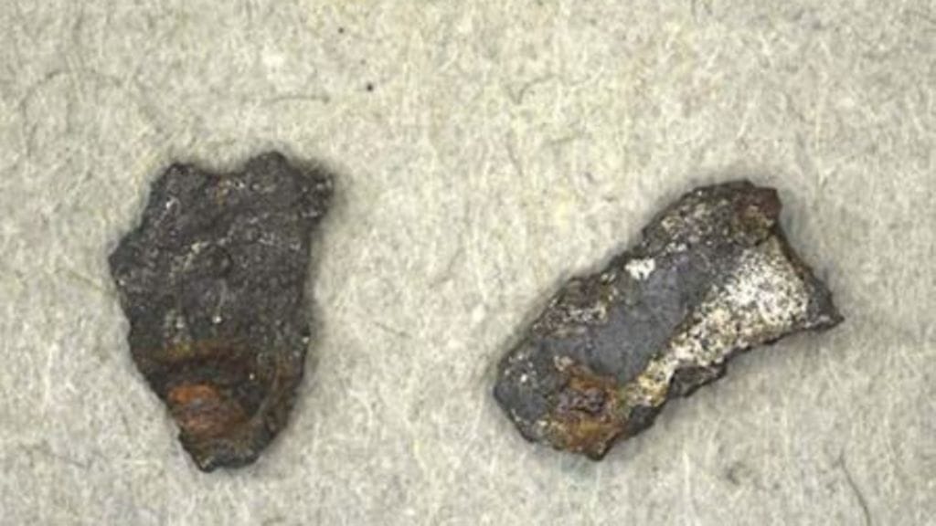 Meteoriitteja-Ruotsin-luonnontieteellinen-museo