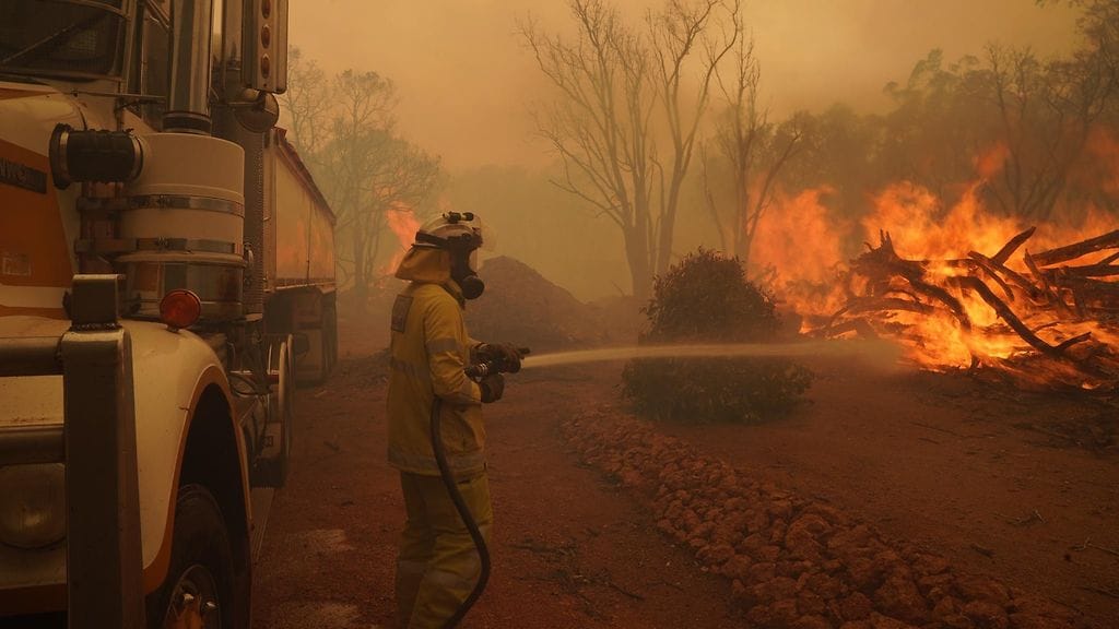 Perth Australia palo AOP